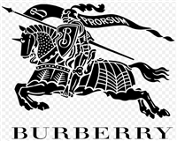 Brillengestelle Burberry 1273 - 1273